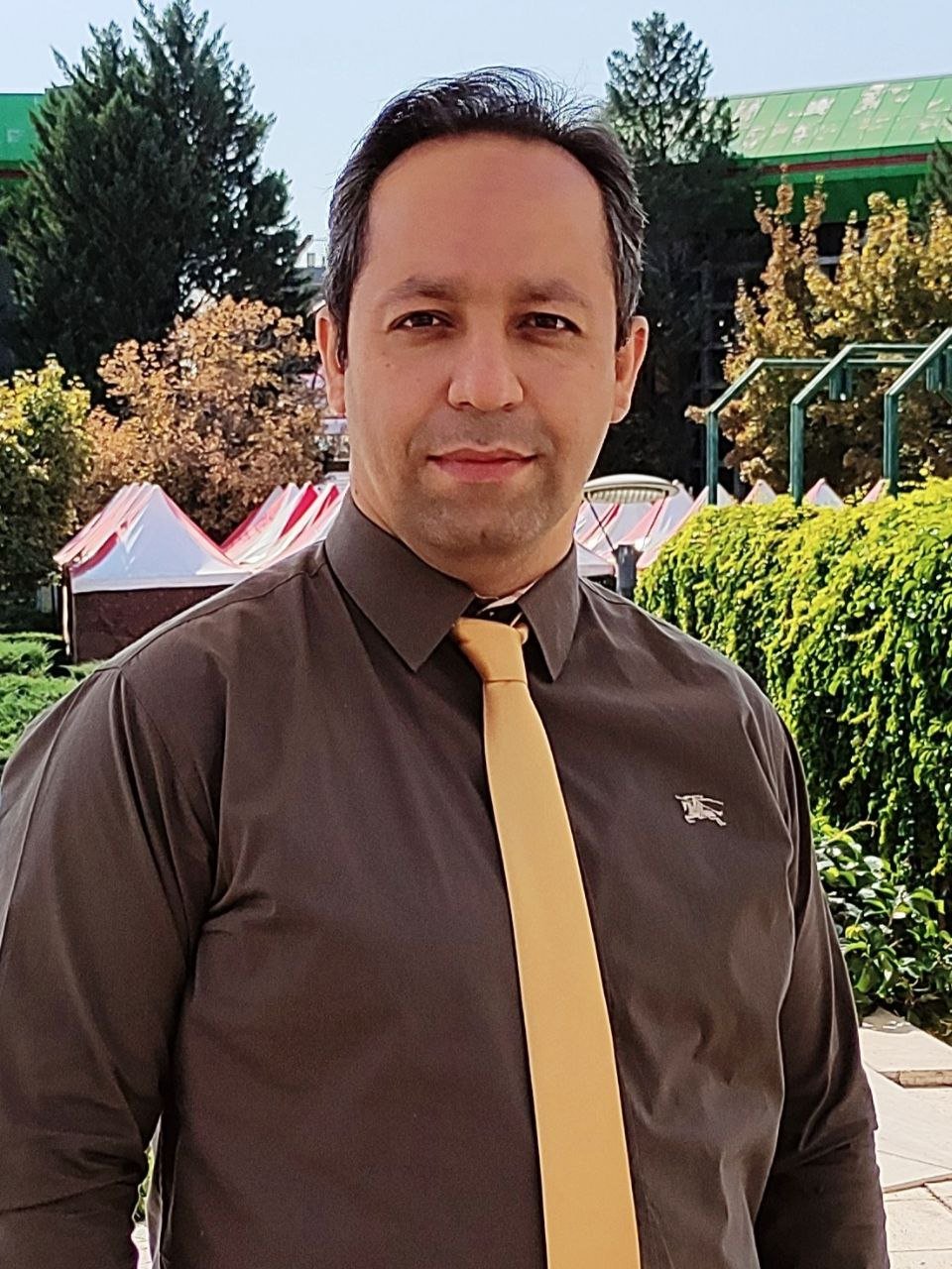Masoud Ardameh